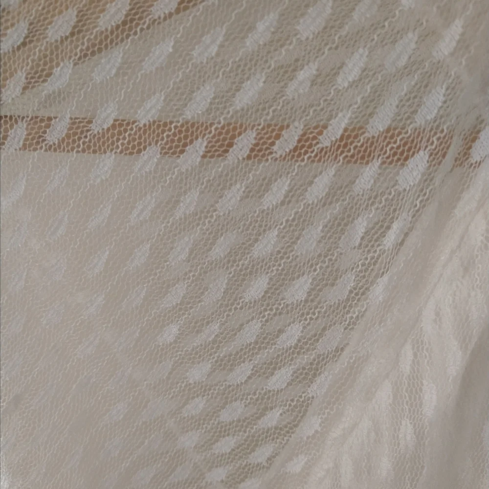 NWT Nina Leonard Dress L Sheer Mock Neck Long Sleeve Dotted‎ Overlay In Ivory - Picture 7 of 10